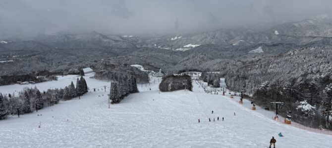 STEP ON®︎ STEP ON®︎