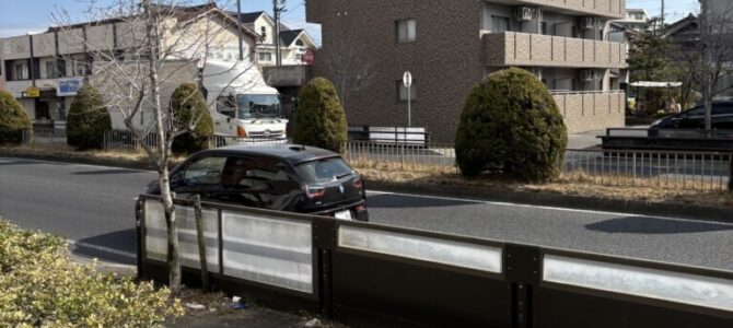 びーちゃん びーちゃん